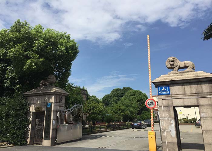 上海桃子视频官网在线观看免费